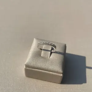 Anel detalhado zircônia