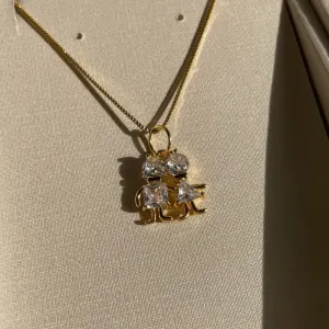 Gargantilha maternidade casal zircônia