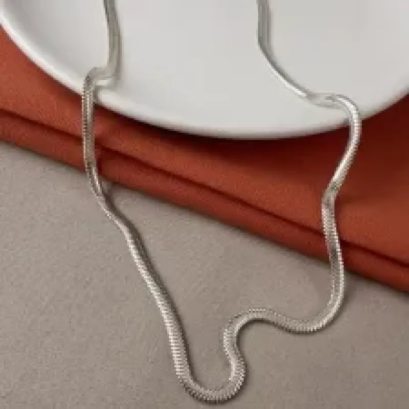 Gargantilha lacraia Prata 925