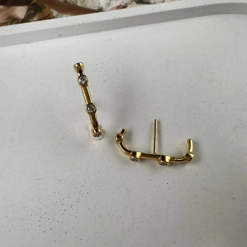Brinco Ear Hook