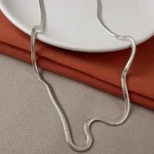 Gargantilha lacraia Prata 925